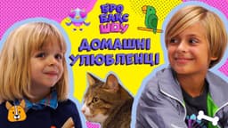 Домашні улюбленці