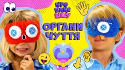 Органи чуття